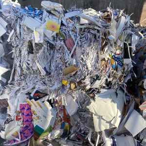 Прием макулатуры Днепр